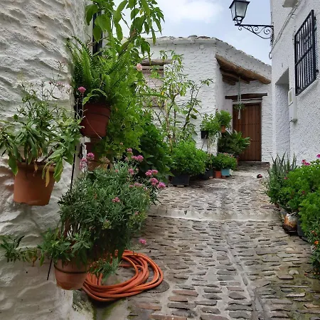 Casa Martina